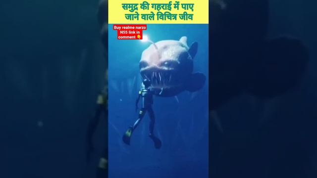 Inside the deep ocean #shorts #viralvideo