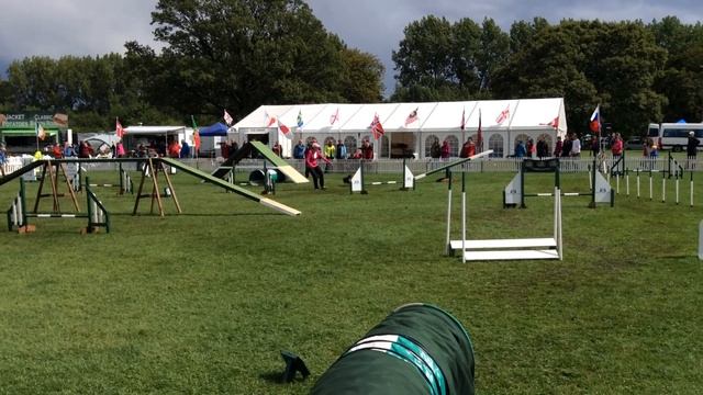 Zaz kci 2014 British open winner