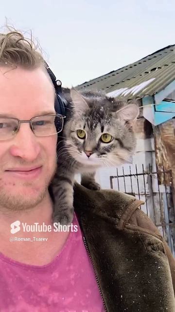 Реакция городского кота на деревенскую природу 😊 #shorts