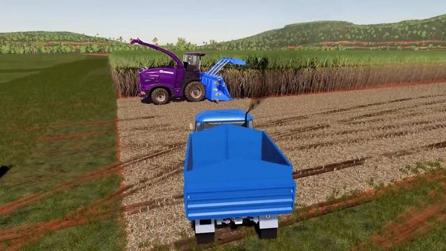 TRANSPORT OF COLORS ! MINI TRUCK TRANSPORT with BIG LOADER TRUCKS! SUGARCANE JOB! FS22