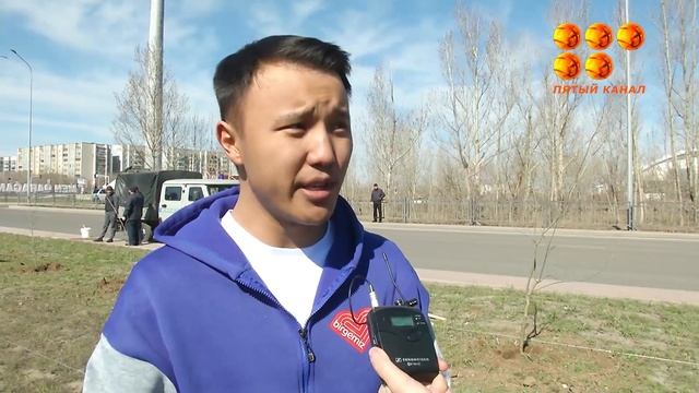 Добровольцы убрали мусор на площади, в три тысячи гектаров