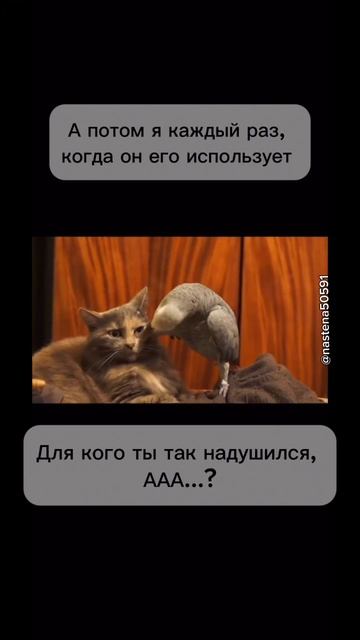 Для кого надушился, ааа… 🤣#reels #скетч #мамавдекрете #юмор #порфюмерия #муж #подарок #духи #попугай