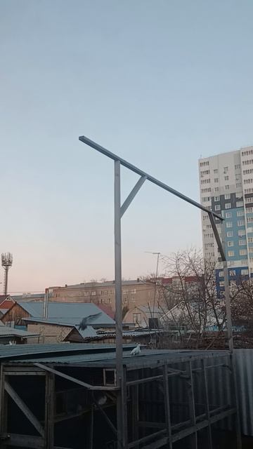 Черный голубь хохлатый ,(жук)