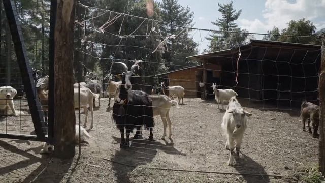 Panorama Saison 4 🎬 - Épisode 2 - Smart Village