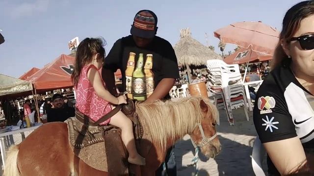 Little girls ride PONY at the Beach 🏝