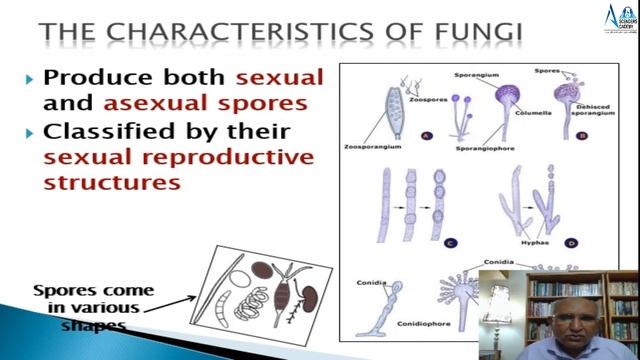 8.1  Chapter 8: The Kingdom Fungi XI || DR ARIJO