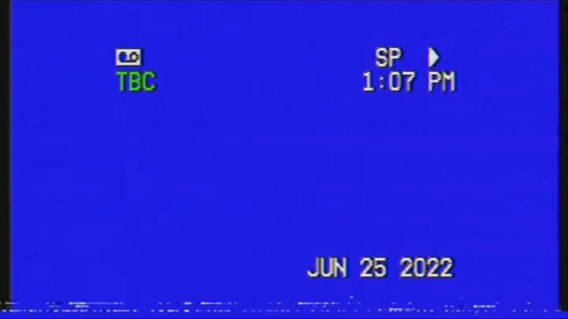 Free VHS Overlay 📼📹 (Original App Used: RarevisionVHS )