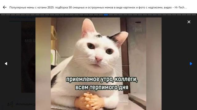 ЧМОНЯ :) | Мемы с котами! Подборка мемов