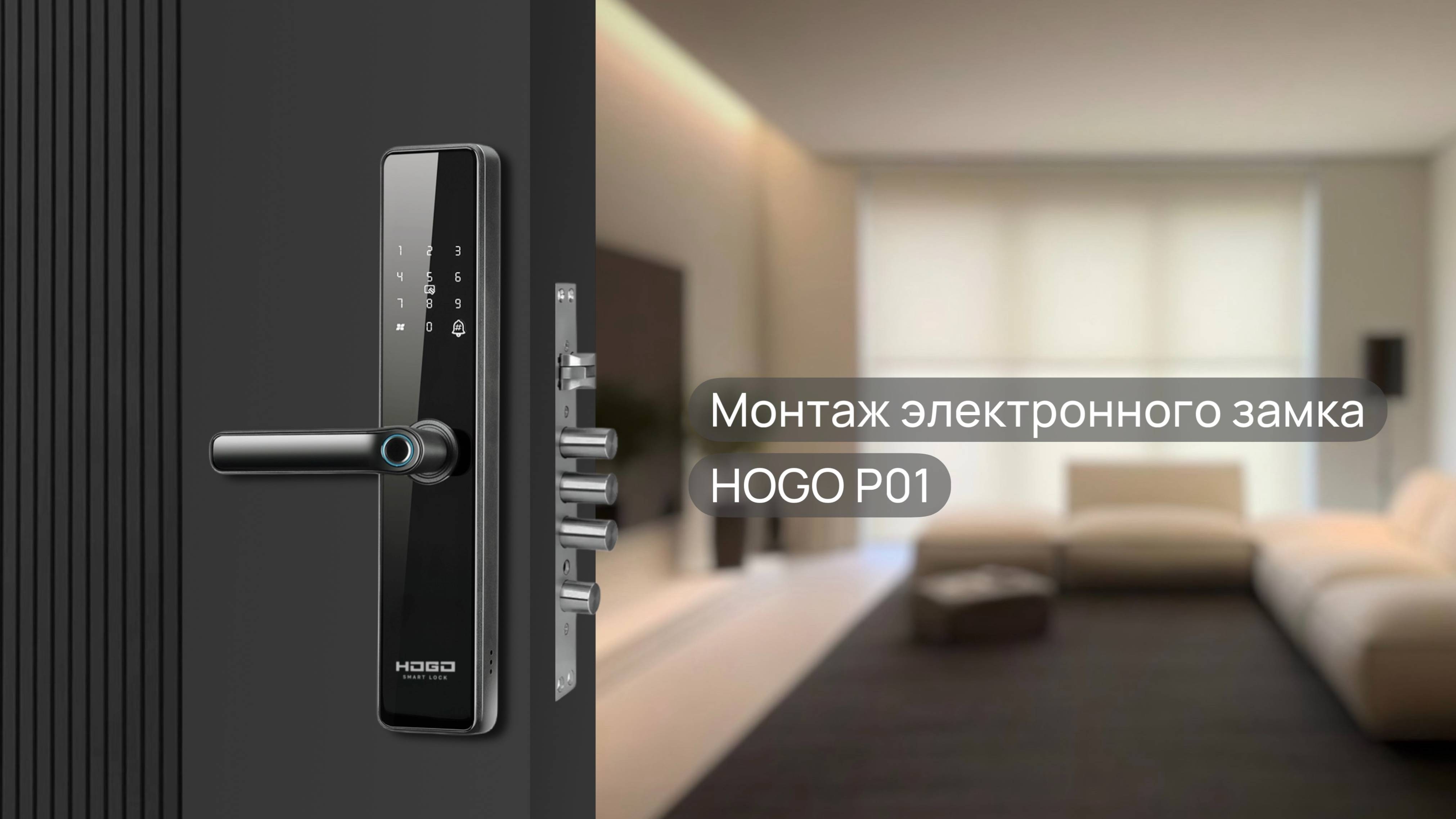 ИНСТРУКЦИЯ ПО УСТАНОВКЕ УМНОГО ЭЛЕКТРОННОГО ЗАМКА HOGO P01