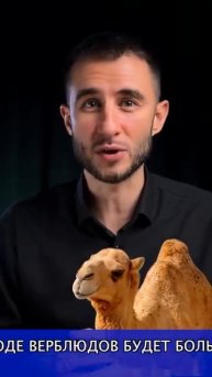 Креативный маркетинг от Camel