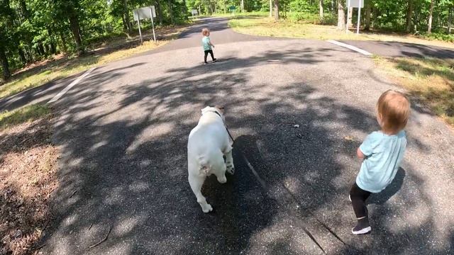 Twins take a hike with Beano