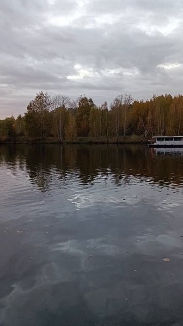 Если Вам нужно, #Москва и обл., адвокат, преподаватель английского языка, реклама, отдых, массаж,