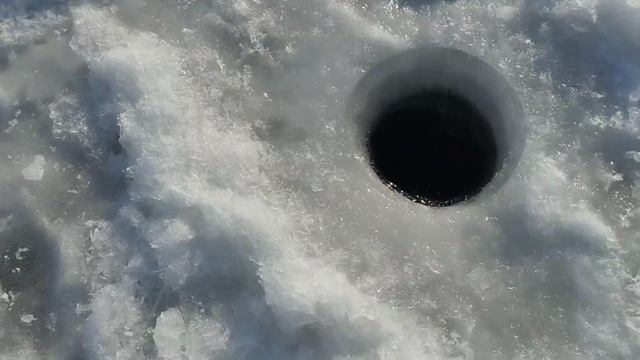 1000025952.mp4