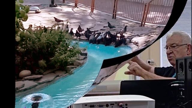 Избранные фото за август 23 года