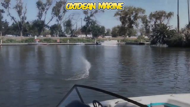 Rc Boat Terrorizes Windmill Cove! Oxidean Marine Mini-Dom!