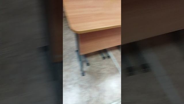 VID_20250228_073348