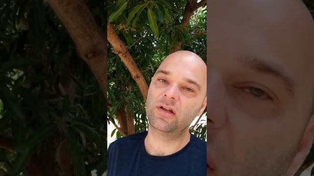 DJI Mini 3 Pro Resiste a VENTOS FORTES? Veja no Que deu Por Aqui!!!