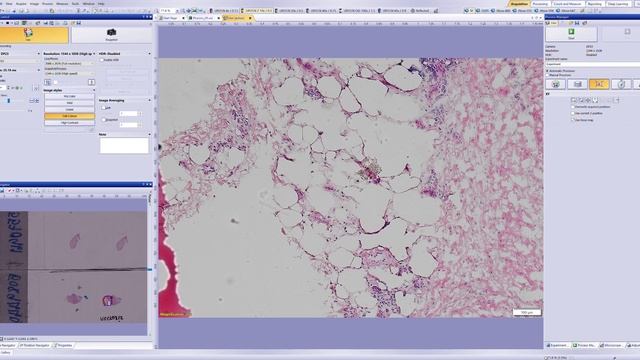 Performance comparison (Olympus) - 4/10 #olympus #microscope #fluorescence