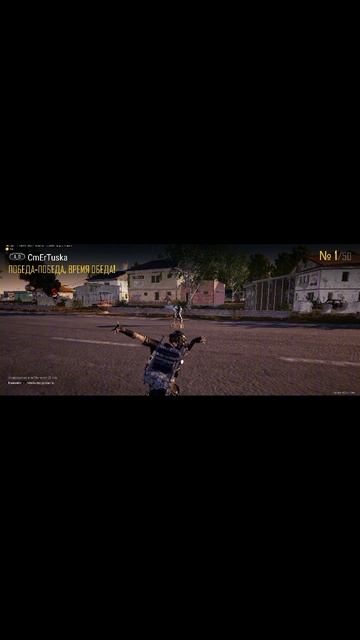 pubg, winner winner chicken dinner