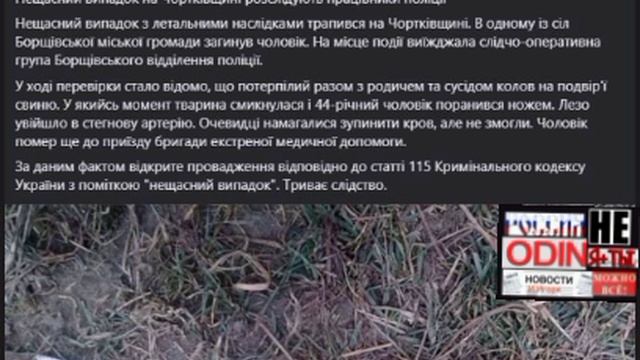 Свинья зарезала украинца,в тернопольской области.Выпиющий случай.🐖