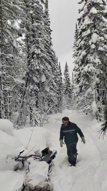 21 Мотособака в Зимней тайге