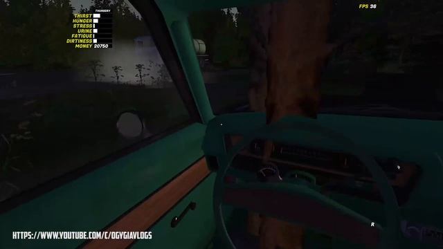 AM I SINKING OR AM I SWIMMING MY SUMMER CAR LAKE SIDE VIEW 2023 | Ogygia Vlogs🇺🇸