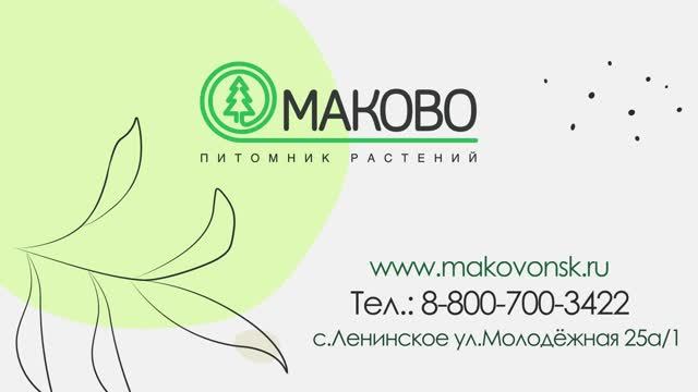 Производственные мощности