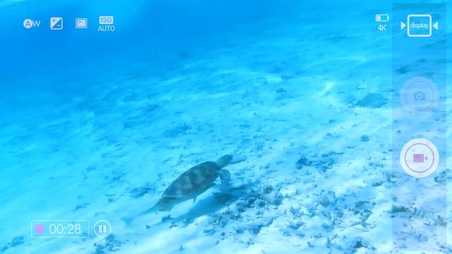 【4K】VirtualTrip-与論島 最新2020年4月の百合ヶ浜