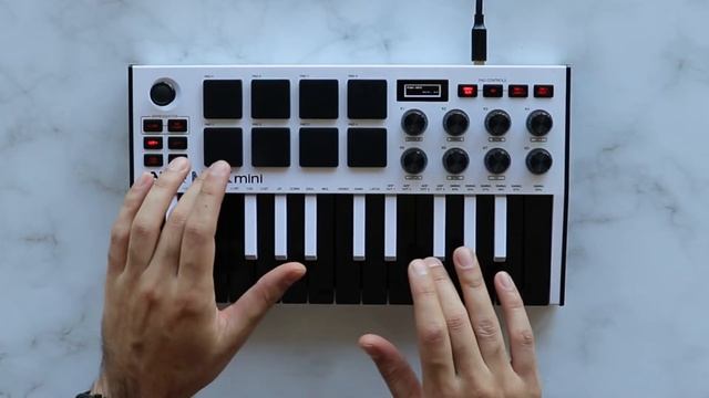 Polo G - Young N Dumb (Remake) | AKAI MPK Mini Remix | Hall of Fame Cover Remix