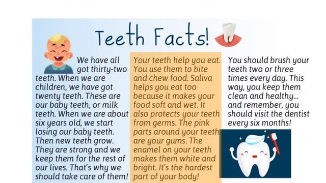 Get Smart Plus 4 Page 133 Teeth Facts