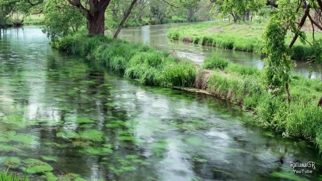 Разлилась речка быстрая - Ансамбль Покровского