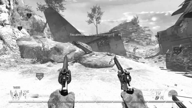 random mini 2 (IW4x)