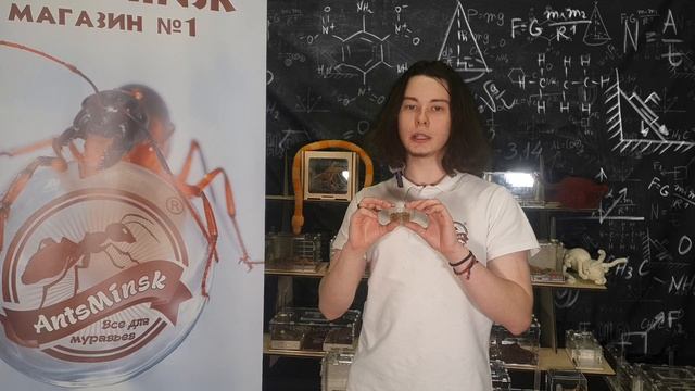 БЕЛКОВЫЙ КОРМ ДЛЯ НОВИЧКОВ