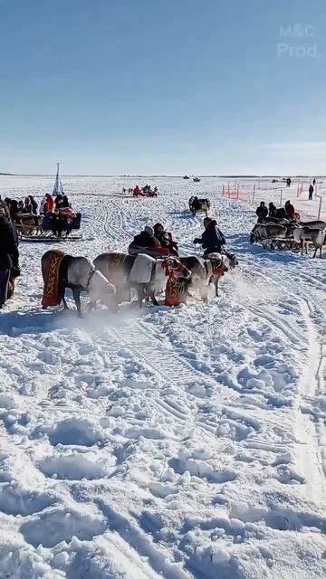 День оленевода Салехард 25.03.2023