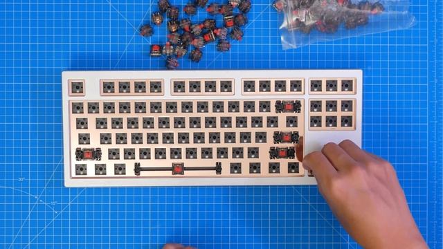 Amazing Hotswap Mechanical Keyboard - Monstargear XO V2!