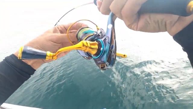Reel mini 800 baru langsung Amis GT || bullzen ft. capung 3LB ||Extreme Ultra light Jigging