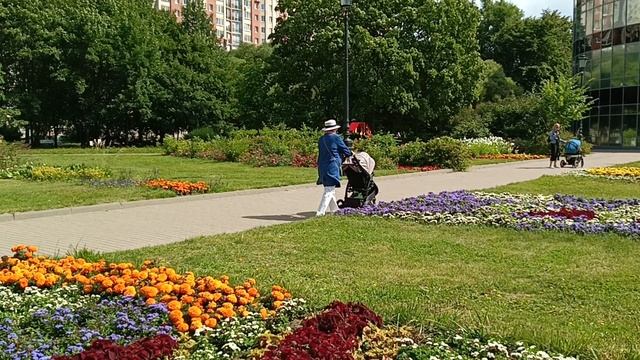 Здесь всегда разные клумбы!Токио сити