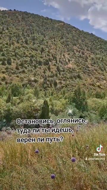 В поход.