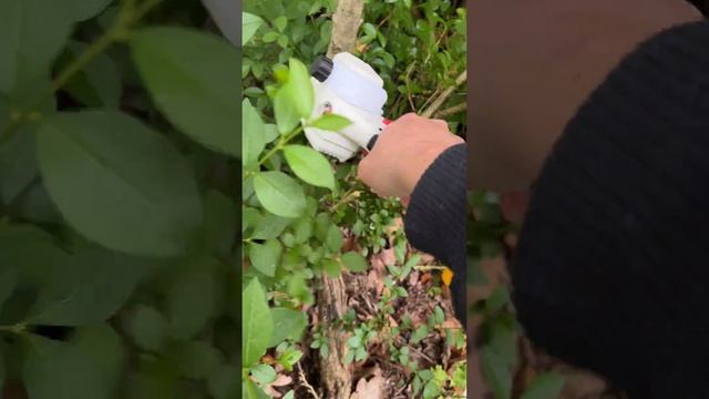 $15 ORBLON Cordless Mini Chainsaw Using DeWalt 20V Battery
