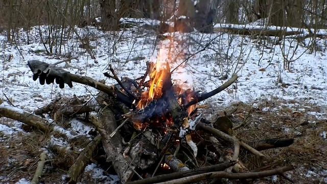 отдых в зимнем лесу