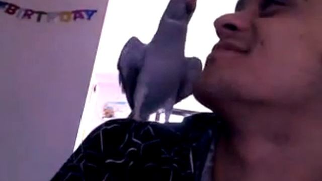 zazu loving me/offering food.