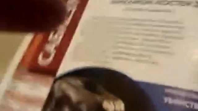 Чудеса ПриРоды#1