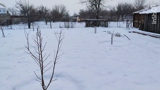 Первый снег в моей деревне. конец февраля 2025.