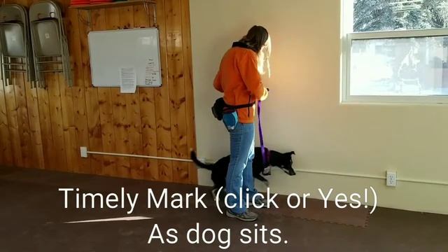 Verbal Sit/Down at Side