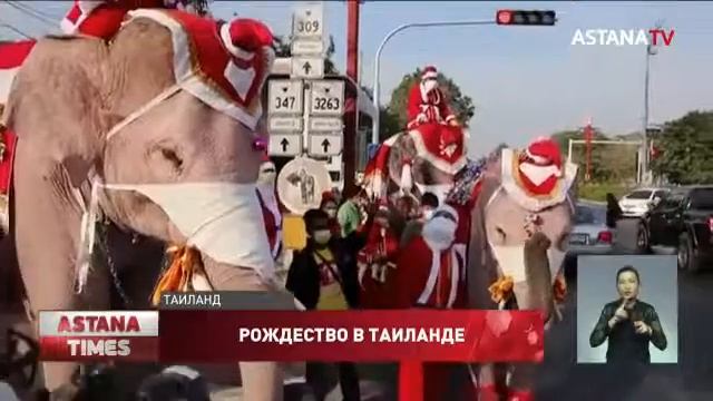 Слоны переоделись Санта-Клаусами и отправились в школы в Тайланде