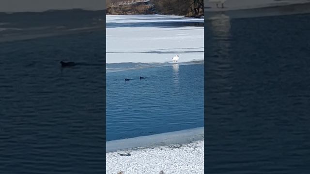 Собрались вместе у открытой воды.