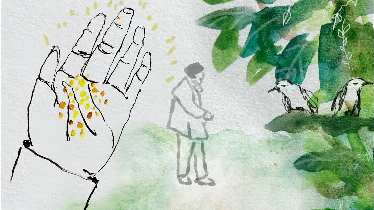 Притча о сеятеле и семенах – рассказ Муджи