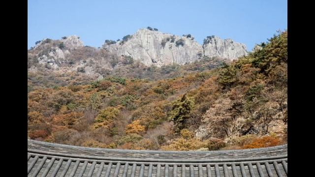 2020년 10월 30일 내장산 단풍(Осенние листья Naejangsan)