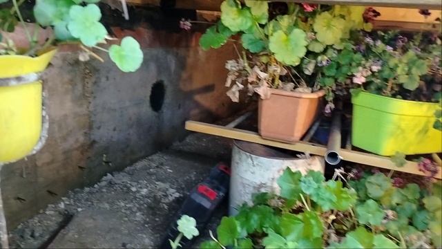1000016770.mp4