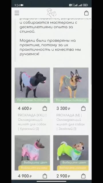 Заказывай светоотражающие комбезы на ryadom-pets.r